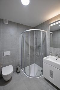 多尔尼莫拉瓦Apartmány Chata Večernice的带淋浴、卫生间和盥洗盆的浴室