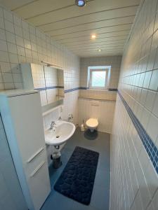 GoldkronachGemütliches Appartement - WBS的一间带水槽、卫生间和镜子的浴室