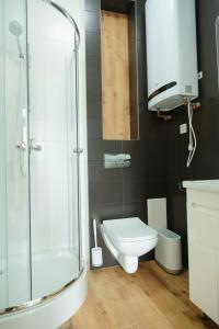 喀尔巴阡Кайзервальд Forus - апартаменти в Карпатах的一间带卫生间和玻璃淋浴间的浴室
