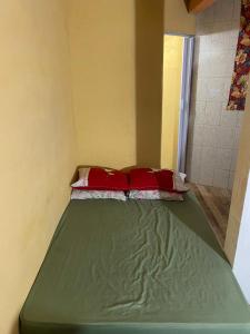 阿拉亚尔-杜卡布Hospedagem Mariano的一张绿色的床,房间有两个红色枕头