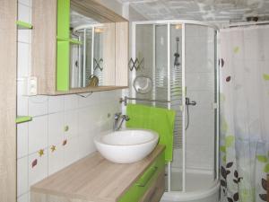 LoissinHoliday Home Karli by Interhome的一间带水槽和淋浴的浴室