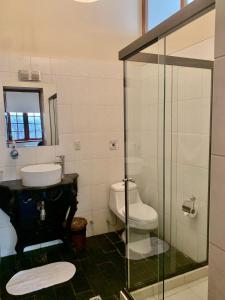 拉巴斯埃尔康素拉多精品酒店的浴室配有卫生间、盥洗盆和淋浴。