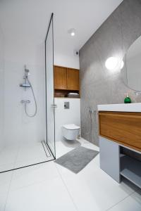 克拉科夫City Lights Apartments的带淋浴、盥洗盆和卫生间的浴室