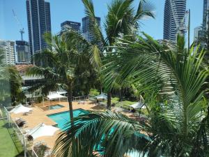 黄金海岸卡门海滨酒店的享有棕榈树和建筑的游泳池景色