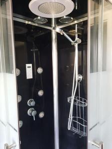 勒奥瓦尔德Studio Soleil au Hohwald的带淋浴喷头的浴室