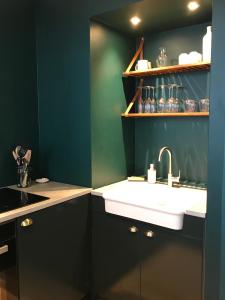 欧坦Le Cocand的厨房设有水槽和绿色的墙壁