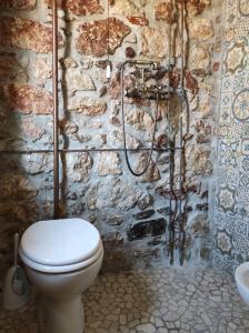 FornelliLa casa di Duilia的一间带卫生间和石墙的浴室