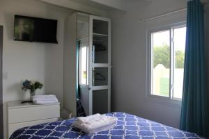 圣约翰斯Tropical Garden Cottage Antigua的一间卧室设有一张床和一个窗口