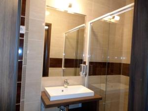 尼赖吉哈佐Hotel Írisz的一间带水槽和玻璃淋浴的浴室