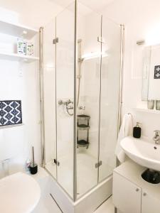 格拉登巴赫Dream Green Apartment 'Frida'的带淋浴和盥洗盆的浴室