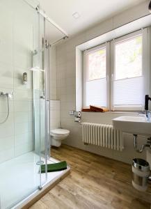 巴特弗兰肯豪森凯富海塞尔宾馆的带淋浴、盥洗盆和卫生间的浴室