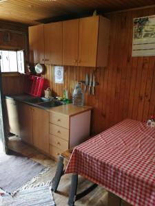 图赫尔斯克利普利采Robinzonski smještaj Tepeš的厨房配有木制橱柜和一张带红色格子桌布的桌子。
