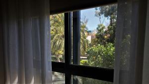 瓦伦西亚MD现代酒店 - 花园的享有棕榈树景致的窗户