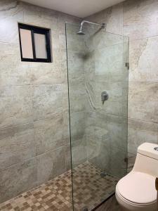 伊达尔戈德尔帕拉尔Hotel Adriana的浴室设有玻璃淋浴间和卫生间