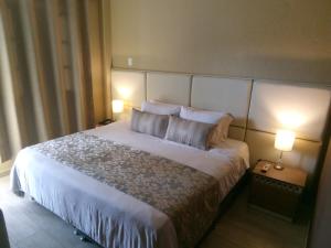 萨兰托Hotel Salento Plaza的卧室配有一张带两个枕头的大白色床