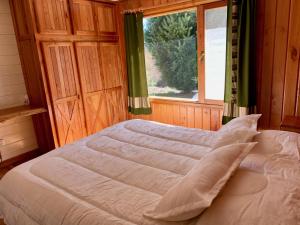 胡宁德洛斯安第斯Fly Fishing Cabin, Great Views的一间卧室设有一张大床和窗户