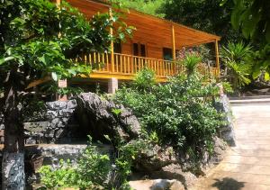 吉婆岛Blue Lagoon Cat Ba的一座带门廊和一些植物的木屋