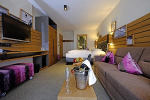 伊施格尔阿莱格拉维斯塔酒店的酒店客房设有一张沙发和一张床
