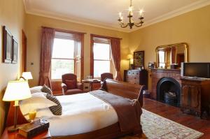巴利纳猎鹰山庄园酒店的一间卧室配有一张床、一个壁炉和一台电视。