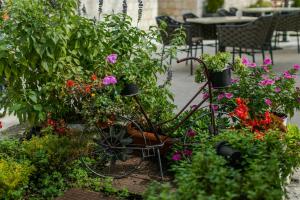 特罗吉尔康克狄亚酒店的花园内种满了鲜花和植物的自行车