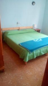 蓬塔德尔西达尔戈Las Gaviotas的一张床上有绿毯的床