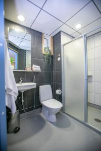 米凯利乌斯库酒店的浴室配有卫生间、盥洗盆和淋浴。