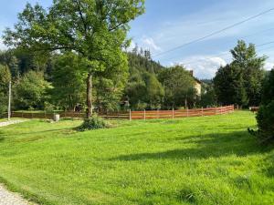 科尔别卢夫Agroturystyka u Beaty Dom I的绿草丛,有栅栏和树