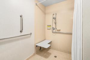 纽瓦克威尔明顿纽瓦克智选假日酒店的带淋浴和卫生间的浴室