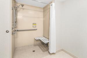 纽瓦克威尔明顿纽瓦克智选假日酒店的浴室设有带长凳的步入式淋浴间