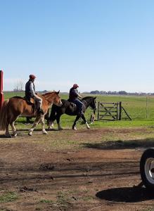 圣安东尼奥德阿雷科Cabaña Rural El Encuentro的两个人在田野里骑马