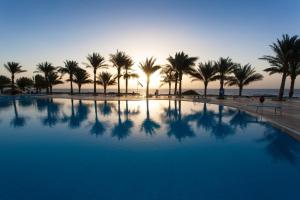 沙姆沙伊赫Sharm Club Beach Resort的一座棕榈树和海洋游泳池