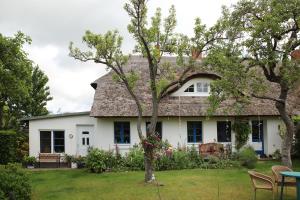 Neuendorf HeideFerienwohnung im historischen Bauernhaus的院子里有树的白色房子
