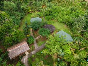 卡维塔Bungalows Aché Cahuita的花园顶部美景,配有遮阳伞
