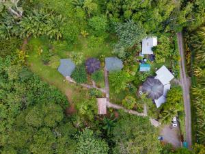 卡维塔Bungalows Aché Cahuita的花园顶部美景,配有遮阳伞