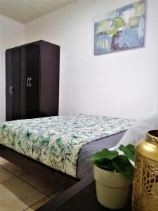 阿拉胡埃拉Kubo Apartment Private 2 Bedrooms 5 mins SJO Airport with AC的一间卧室配有床、橱柜和植物