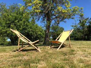KarninLandhaus Karnin的两把椅子坐在草地上