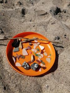 奥斯特巴德里克Ferienwohnung im Grünen的海滩上一个橙色的板子,上面有贝壳和岩石