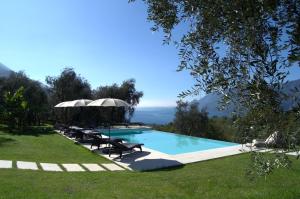 马尔切西内美景旅馆的一个带椅子和遮阳伞的草地游泳池