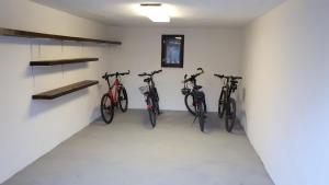 图尔钱斯凯特普利采Privat Velvet的一辆自行车在一间房间里排成一排