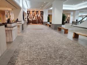 檀香山阿拉莫阿纳LSI度假酒店的走廊上铺着地毯,楼里设有长凳
