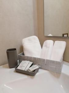 多索博诺欧罗巴酒店的浴室提供白色毛巾和毛巾托盘