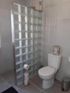 ArboleasLos Torres Casa Lindsay的一间带卫生间和玻璃墙的浴室