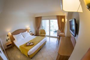 代森扎诺-德尔加达皇宫酒店的酒店客房,配有床和电视