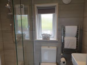 史宾桥Toradh Cabin的带淋浴和卫生间的浴室以及窗户。