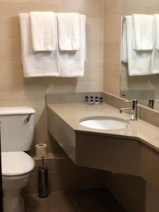 Aherlow阿尔罗小屋酒店的浴室配有盥洗盆、卫生间和毛巾。