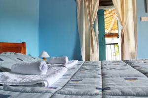 Pera Orinis阿帕拉迪乡村酒店的一间卧室配有一张蓝色墙壁的床和一扇窗户