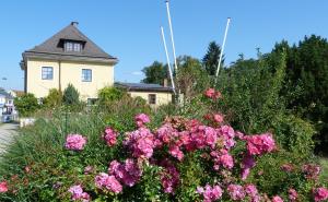 维瑟尔堡Cityhostel Wieselburg的前面有粉红色花的房子