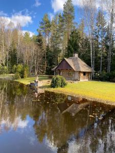 库尔迪加Log Cabin的坐在湖边小屋旁的女人