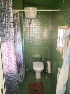 圣维托基耶蒂诺CASA DEI TRABOCCHI的绿色瓷砖浴室设有卫生间和淋浴。