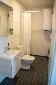 灵塞德Aurora Fjord Cabins的一间带卫生间和水槽的浴室